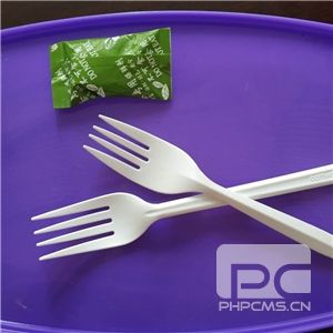一次性国产探花视频在线看-叉子