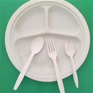 一次性玉米淀粉国产探花视频在线看