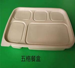 一次性环保国产探花视频在线看